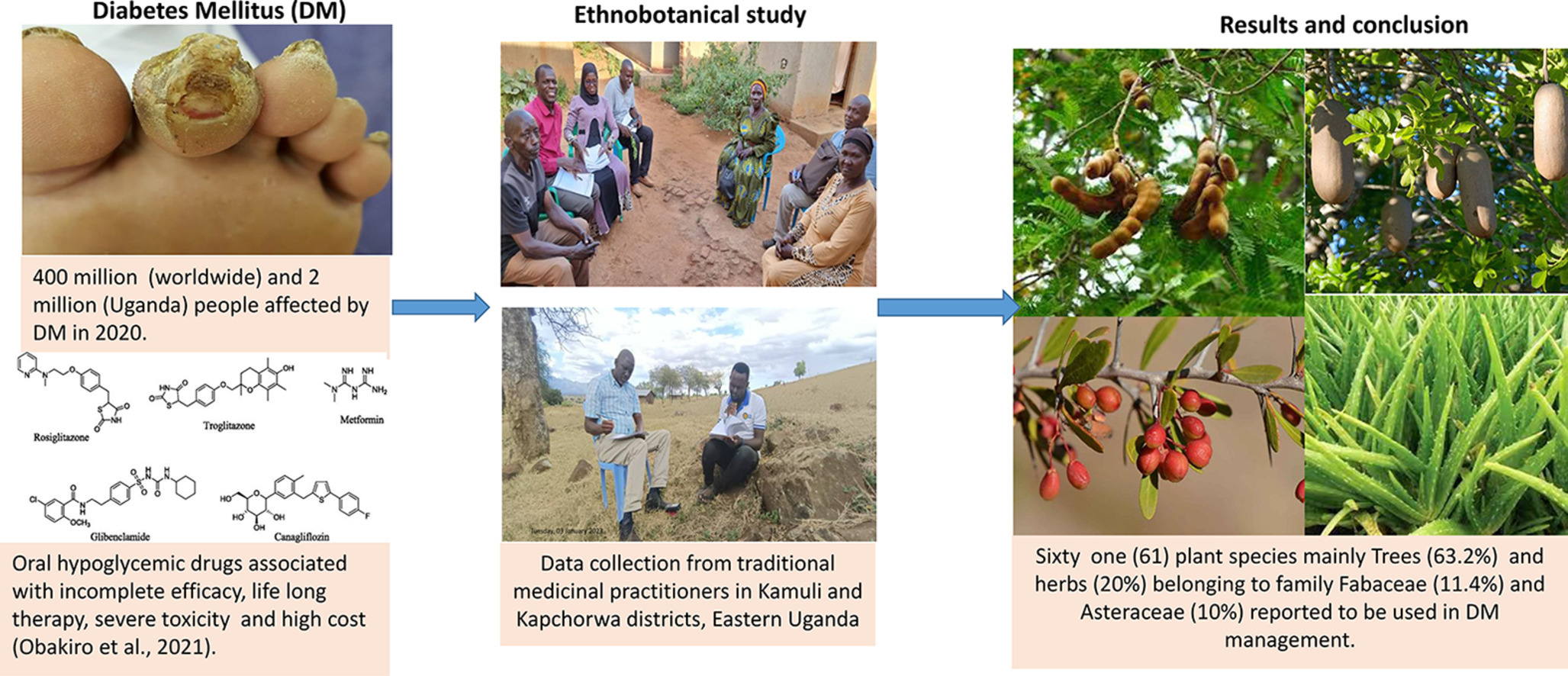 Ethnobotanical study of plants used in management of diabetes mellitus in Eastern Uganda
